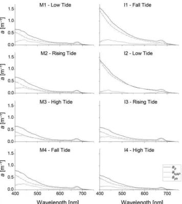Fig.  9.  Particle  absorption  coefficients  a p (λ)  (black  full  line)  and  the  relative  contributions  of  the  non-algal  particles  a NAP (λ)  (dotted  grey  line)  and  phytoplankton  a Ph (λ)  (full  grey  line)  for  each  tidal  phase  in  th
