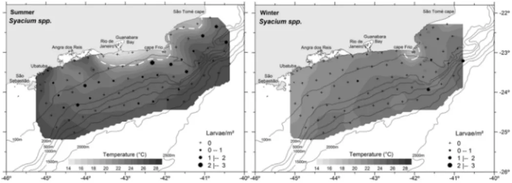 Fig. 4. Horizontal distribution of Syacium spp. during the summer and winter 2002. The abundance of larvae  is expressed in larvae/m²