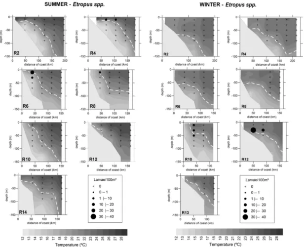 Fig. 6. Vertical profiles of temperature (°C) and vertical distribution of Etropus spp