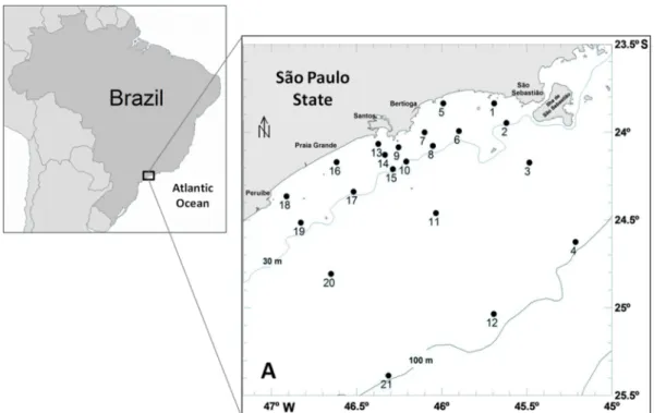 Fig. 1. Map of the continental shelf between Peruíbe and São Sebastião, southeastern Brazilian coast, showing the 21 sampling  stations