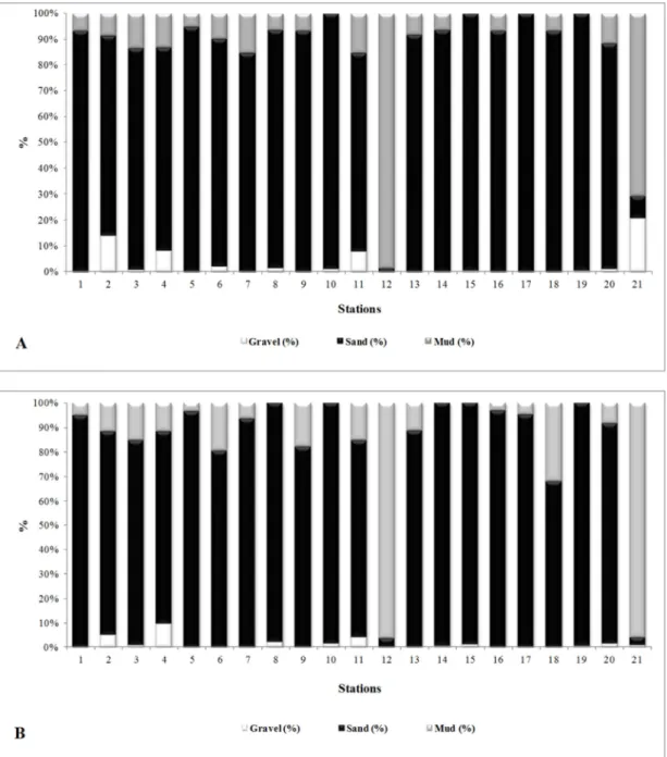 Fig. 2. Distribution of particle size classes (gravel, sand and mud) of the stations sampled on the continental shelf between São  Sebastião and Peruíbe