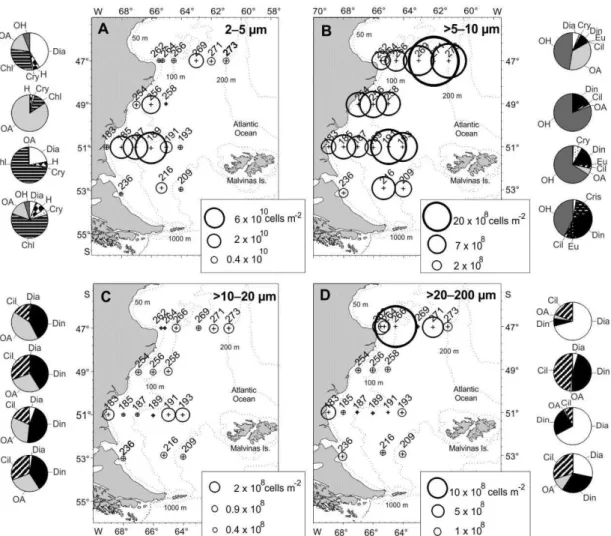 Fig.  4.  Spatial  distribution  and  abundance  of  phyto-  and  protozoooplankton  size-fractions