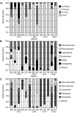 Fig.  5.  Potential  food  availability  for  copepods  at  stations  where  feeding  and  reproduction  were  studied