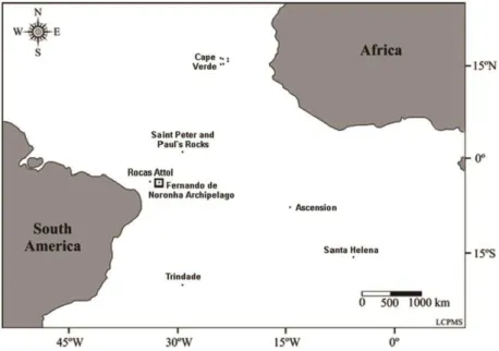 Fig. 1. Location of the Fernando de Noronha Archipelago and adjacent oceanic islands. 