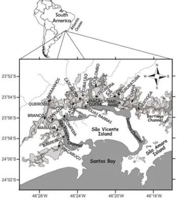 Fig. 1. Study area. Land is shown in white, water (ocean and continental  water) in gray and mangrove forests in light gray; black lines represent  the transects.
