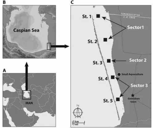Figure 1. Gomishan lagoon and sampling stations (St. 1 to St. 5).