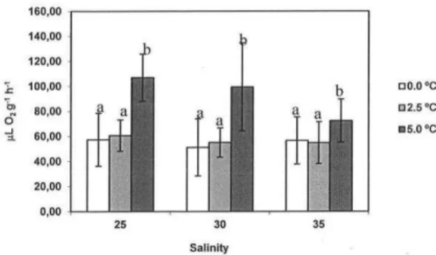 Fig. 1. Mean (±SEM) oxygen consumption rate (µLO 2  g -1  h -1 )  of Bovallia gigantea as a function of temperature at different  salinities
