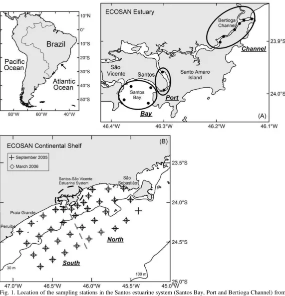 Fig. 1. Location of the sampling stations in the Santos estuarine system (Santos Bay, Port and Bertioga Channel) from  November 2004 to December 2005 (A) and on the continental shelf between Peruíbe and south of São Sebastião island  in September 2005 and 