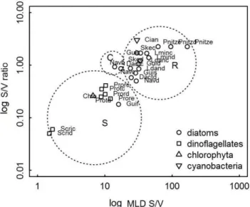 Fig. 2. Distribution of the fourteen taxa selected for the classification in C-S-R  strategies determined by their S/V ratio and the product of their MLD and S/V