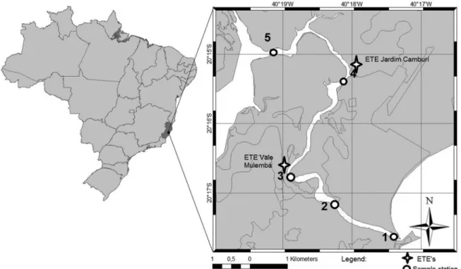 Figure 1. Samples sites numbered and the local of discharge the efluent of sewage treatment plants (ETE's).