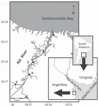 Figure 1. Study area and sampling stations (1 to 5, black circles).