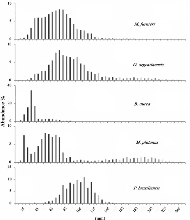Figure 3. Relative length frequency distribution of the main species for the total surveys in the Ajó river