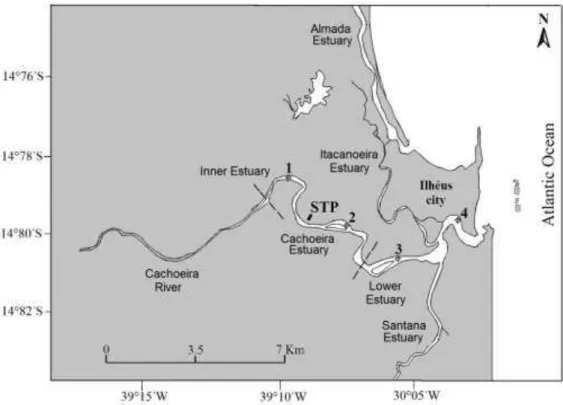 Fig. 1. Map of the study area showing the location of sampling stations in the Cachoeira River estuary and the  sewage treatment plant (STP)