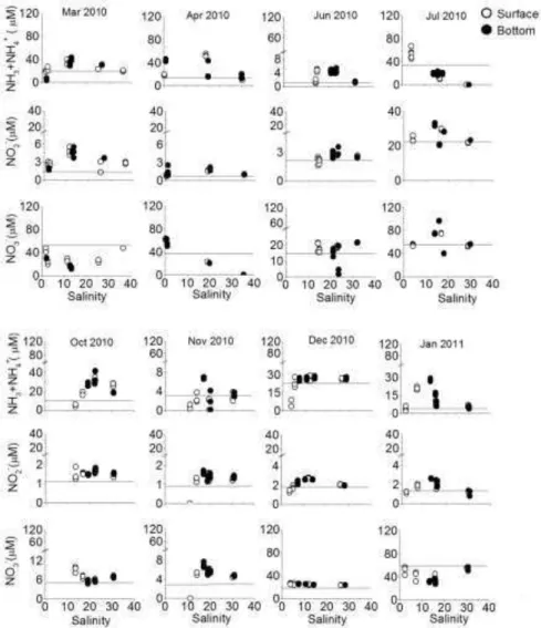 Fig. 5. Mixing diagram of salinity normalized ammonium, nitrite and nitrate concentrations in the Cachoeira  River estuary between February 2010 and January 2011