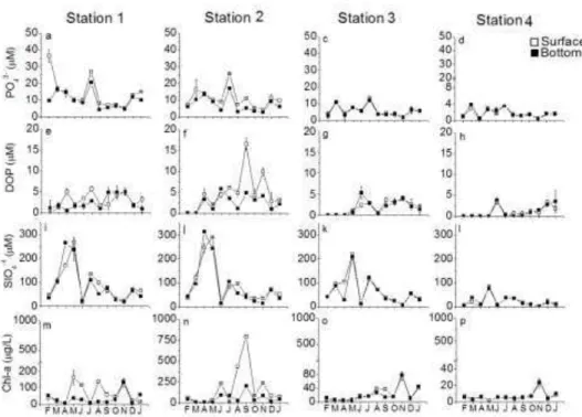 Fig. 6. Mean values (µM) of phosphate (6 a-d), dissolved organic phosphorus (DOP) (6 e-h), silicate (6 i-l) and  chlorophyll-a (µg/L) (6 m-p), at sampling stations (1-4) in the Cachoeira River estuary between February 2010  and  January  2011