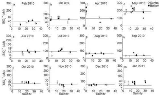 Fig. 8. Mixing diagram of salinity normalized silicate concentrations in the Cachoeira River estuary between  February 2010 and January 2011
