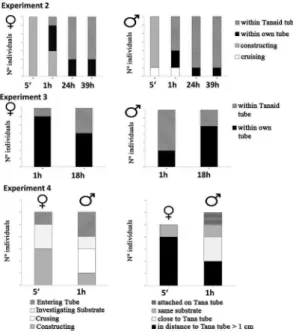 Figure 6. Experiment 2 and 3: Behavioral pattern of Monocorophium   insidiosum after exposure to empty tanaid tubes over different exposure  time (5’ to 39h)