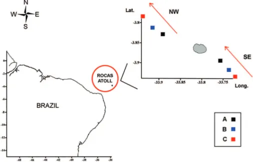 Figure 1. Map of the study area with sampling points and direction of the surface current, Southeast (SE) and  Northwest (NW) in the Rocas Atoll (South Atlantic).