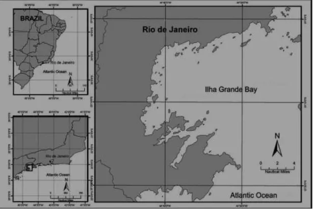 Fig. 1. Map of the study area: Ilha Grande Bay, Rio de Janeiro State, South-eastern Brazil