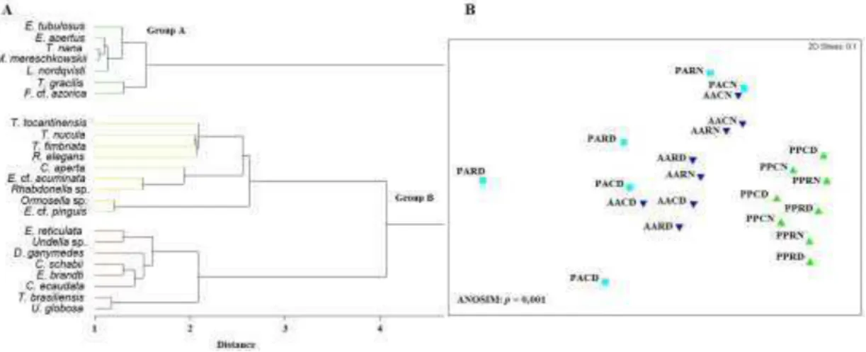 Fig.  2.  Cluster  analysis  determining  the  most  common  species  assemblages  in  the  PP,  AA,  and  PA  areas  during  February,  2012