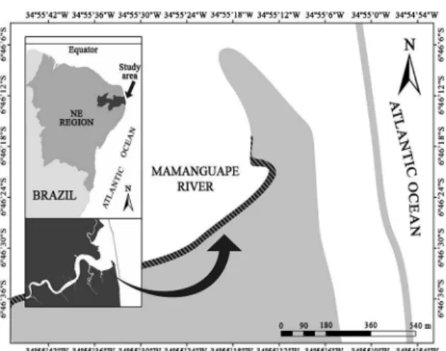 Figure 1. Map of the study area. The hatched area indicates the tidal  mudlat studied in the Mamanguape River Estuary, Brazil.