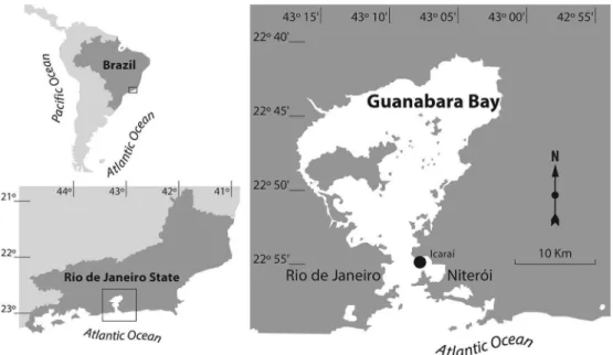 Figure 1.  Map of Guanabara Bay showing location of the sampling area (Niterói, Rio de Janeiro).