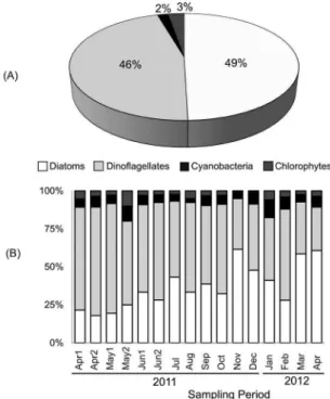 Figure 2. Percentage Contribution of Diatoms, Dinolagellates, Cya- Cya-nobacteria and Chlorophytes considering the entire study period (A)  and separated by sampling cruise (B).