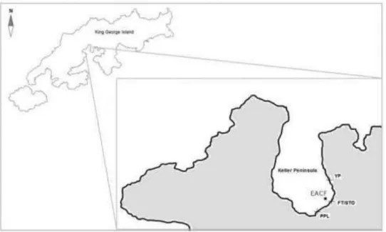 Fig. 1. Map of the Keller Peninsula, King George Island, Antarctic, showing the  sampling places: YP: Yellow  Point; FT – Fuel Tanks; STO – Sewage Treatment Outflow; PPL – Punta Plaza