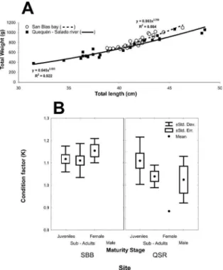 Figure 2. A. Total weight to total length relationship for Mugil liza  specimens in both sampling areas