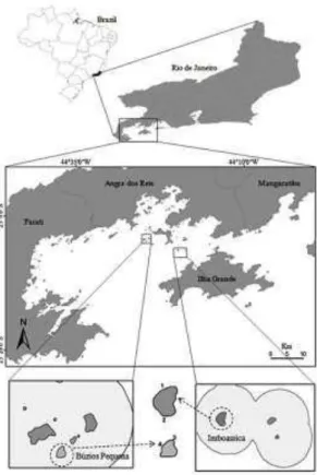 Fig.  1.  Map  of  Brazil,  Rio  de  Janeiro  State,  and  localization  of  the  Ilha  Grande  bay,  indicating  Tamoios  Ecological  Station’s  islands  and  the  sampling  sites: 
