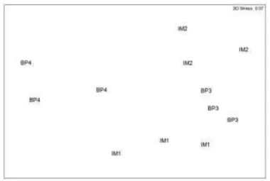 Fig.  3.  nMDS  biplot  of  sampling  units  (12),  based  on  the  cover  of  macroalgal  genera  (44  variables)