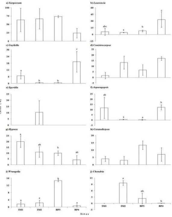 Fig. 4. Cover of the ten macroalgal genera that most contributed to dissimilarities among sites  (n=3)