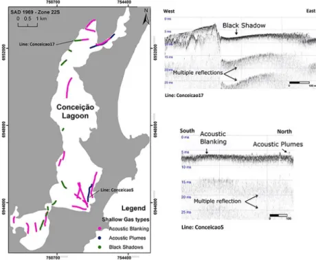 Figure 3. Diferent structures and distribution of gas features contained within the Conceição Lagoon: 