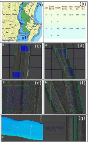 Figure 5. Pockmark distribution, density and size at the Conceição  Lagoon. a) Localization of area A and B; b) size and density statistic; 