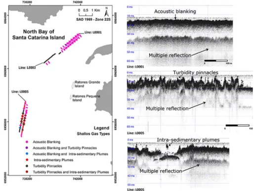 Figure 8. The diferent structures of gas features contained within the North Bay: Acoustic Blanking, Turbidity  Pinnacles and Intra-sedimentary plume.