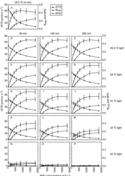 Figure 8. Rapid light curves with relative electron transport rate (rETR), efective quantum yield of PSII (Φ PSII ), and non-photochemical quenching  (NPQ) of light-adapted Mussismilia harttii polyps exposed to diferent temperatures and experimental period