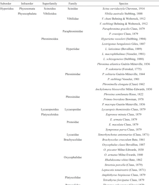 Table 2. Species list around seamounts and islands of Northeastern Brazil.