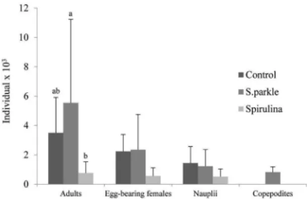 Figure 1. Final population of Oithona hebes reared with different  diets.