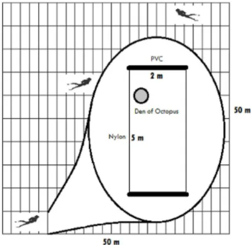 Figure 1. Study area, circles indicate sampling areas in  APARC (Environmental Protected Area of Coral Reef)  and Pirangi.
