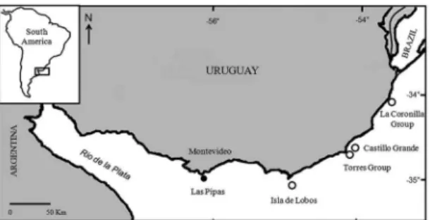 Figure 1. Map of the coast of Uruguay showing all the Pinniped  groups of Islands