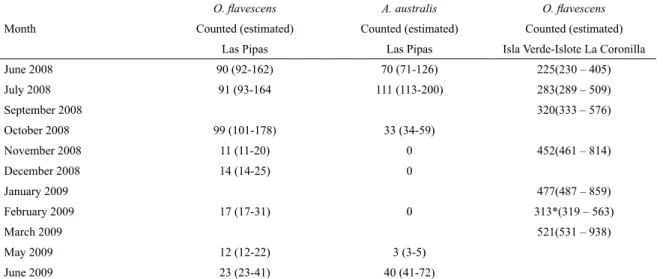 Table 1. Number of Southern sea lions ( Otaria lavescens ) and South American fur seals ( Arctocephalus australis)  counted  monthly at Las Pipas, and Southern sea lions counted at Isla Verde-Islote Coronilla