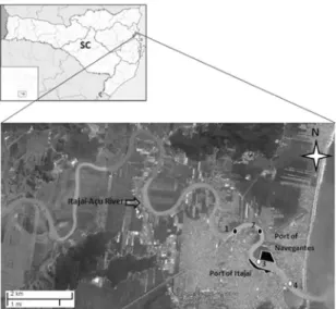 Figure 2. Sampling design totalizing 228 samples. Stations 1 and 2  were located upstream from the port area and were not dredged while  stations 3 and 4 were amidst the dredged area.