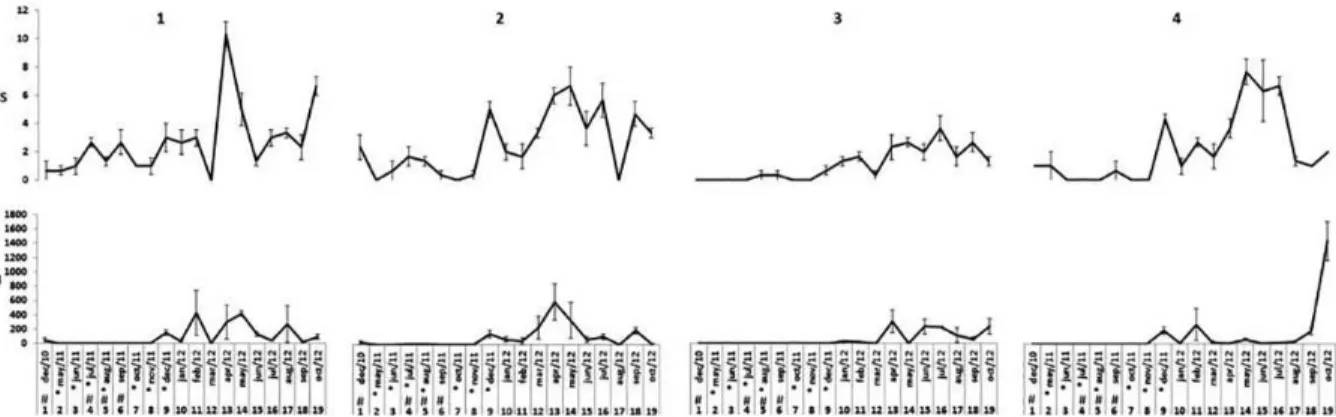 Figure 6. Indicators of Richness (S) and abundance (N) for the macrofauna along the sampling stations (1-4), represented by average per sample  (0,042m 2 ) and standard errors