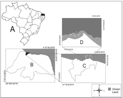 Figure 1. Location of the study area at São Cristóvão beach, eastern equatorial coast of  Brazil.