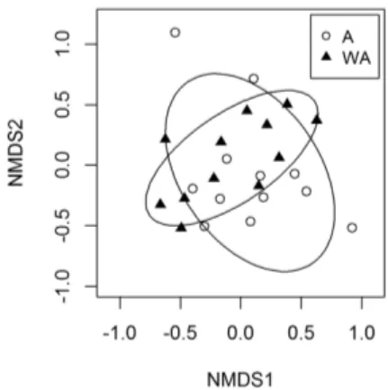Figure  4.  Non-metric  multidimensional  scaling  (nMDS)  of  ish  assemblages from one site with drift algae (A) and one site devoid of  vegetation (WA) of São Cristóvão beach, eastern equatorial coast of  Brazil