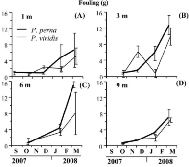 Figure 2. Variation of the dry mass of fouling ixed on  P. perna and P. viridis  grown at 1 m (A), 3 m (B), 6 m (C) and 9 m (D).