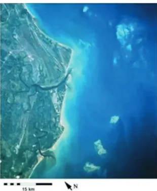 Figure 8. Aerial photograph of reefs of the Cabrália and Porto-Seguro  region on the eastern coast of Brazil.