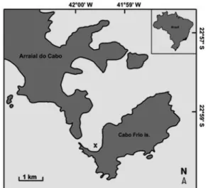 Figure 1. Location of the study area (×) on the Cabo Frio Island, Rio  de Janeiro, southeastern Brazil.