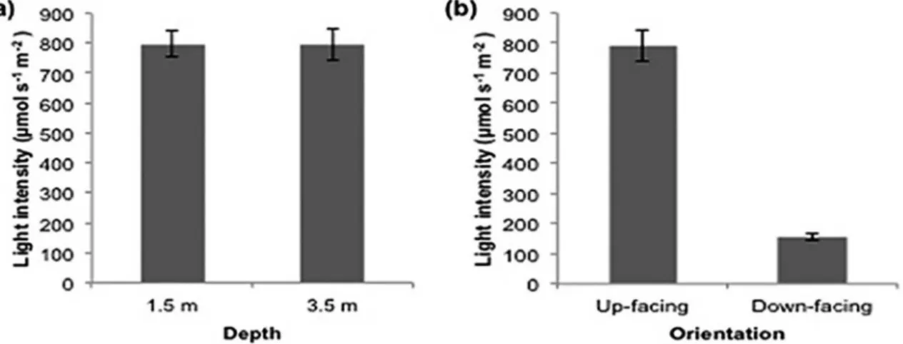 Figure 4. Mean values and standard deviations of light intensity (µmol s -1  m -2 ) on the up-facing surface of the experimental panels in Cabo Frio  Island at the 1.5- and 3.5-m depths (A) and on the up- and down-facing surfaces of the 3.5-m panels.