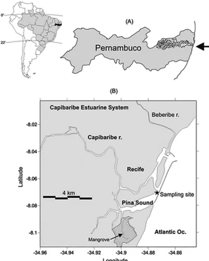Figure 1. Map of the study area. (A) Pernambuco State and the location of the Capibaribe River drainage system and estuary mouth (arrow)